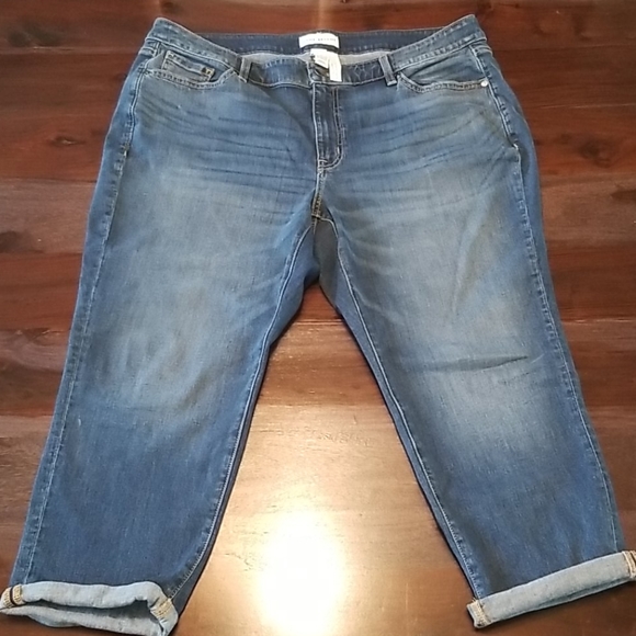 Lane Bryant Denim - Lane Bryant Jeans
